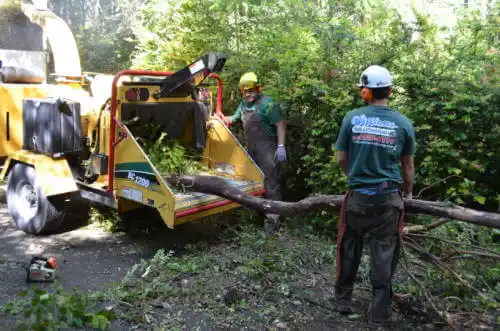 tree services El Monte